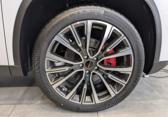 Новый Exeed TXL 2025 (7 фото)