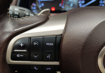 Подержанный автомобиль Lexus RX 2019 года (22 фото)