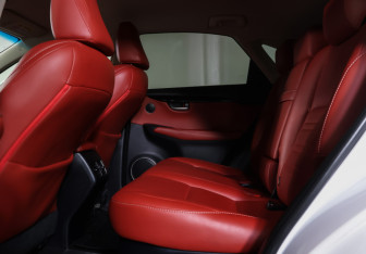 Подержанный автомобиль Lexus NX 2016 года (11 фото)