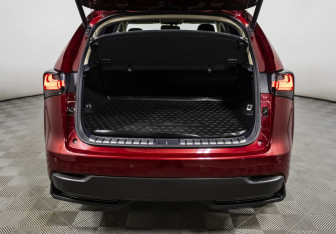 Подержанный автомобиль Lexus NX 2014 года (19 фото)