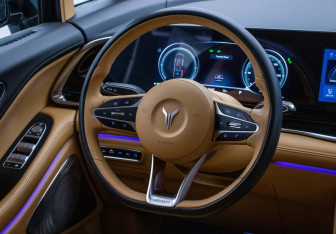 Подержанный автомобиль Voyah Dream 2023 года (14 фото)