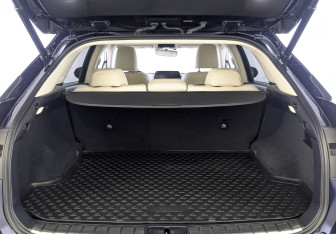 Подержанный автомобиль Lexus RX 2021 года (10 фото)