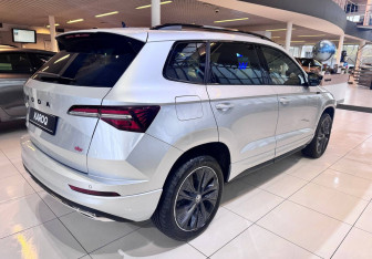 Новый Skoda Karoq 2025 (6 фото)