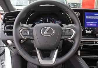 Новый Lexus RX 2025 (11 фото)