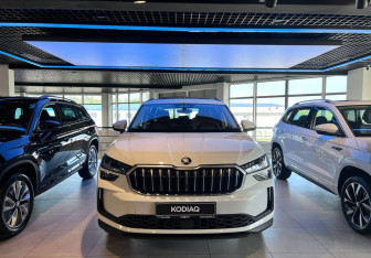 Новый Skoda Kodiaq 2025 (5 фото)