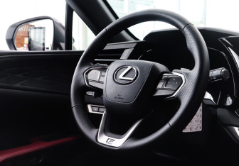 Новый Lexus RX 2025 (10 фото)