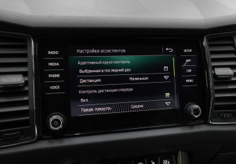 Подержанный автомобиль Skoda Kodiaq 2019 года (19 фото)