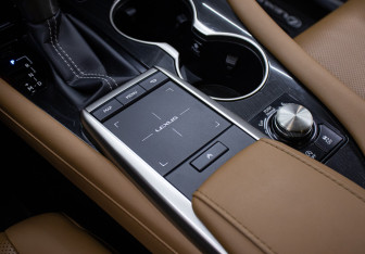 Подержанный автомобиль Lexus RX 2020 года (19 фото)