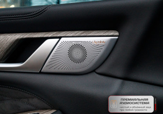 Подержанный автомобиль Tank 500 2023 года (18 фото)