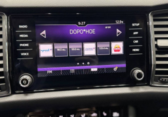 Подержанный автомобиль Skoda Kodiaq 2019 года (18 фото)