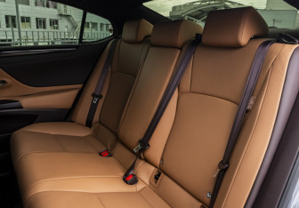 Подержанный автомобиль Lexus ES 2021 года (19 фото)