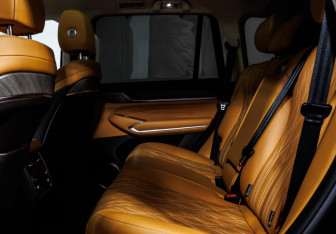 Подержанный автомобиль Tank 500 2023 года (13 фото)