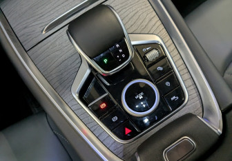 Подержанный автомобиль Chery Tiggo 8 Pro Max 2024 года (20 фото)