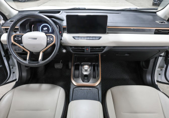 Подержанный автомобиль Haval Jolion 2022 года (14 фото)