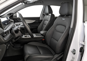 Подержанный автомобиль Chery Tiggo 7 Pro Max 2024 года (20 фото)