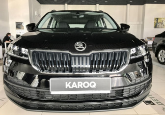 Новый Skoda Karoq 2025 (7 фото)