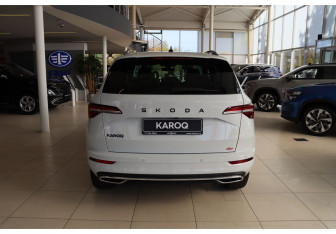 Новый Skoda Karoq 2025 (4 фото)