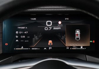 Подержанный автомобиль Tank 300 2023 года (34 фото)