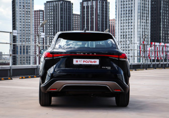 Новый Lexus RX 2025 (6 фото)